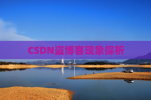 CSDN盗博客现象探析 CSDN盗博客现象探析